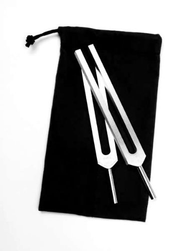 Amazon.com: Body Tuners Beginners Tuning Fork Set of 2 (C & G) by
